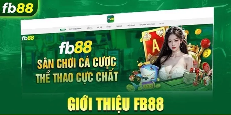 Tại sao nhà cái FB88 lại được nhiều bet thủ yêu thích?