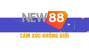 New88