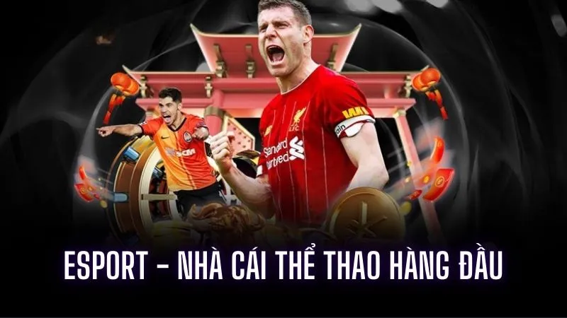 Lợi ích nổi bật khi tham gia vào nhà cái cá cược thể thao uy tín