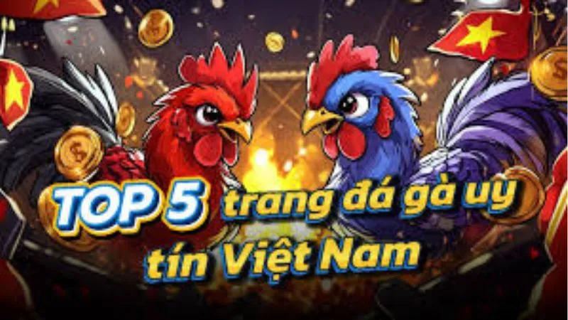 Top 5 sảnh đá gà trực tuyến